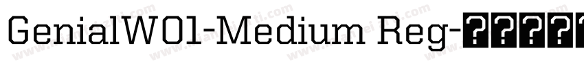 GenialW01-Medium Reg字体转换